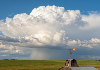 Weather & Climate
